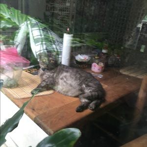 Meet your Posher, Lee